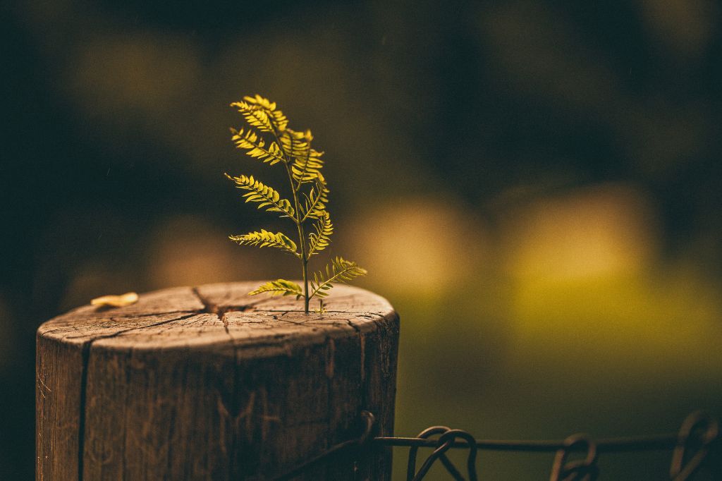 building a healthy workplace culture