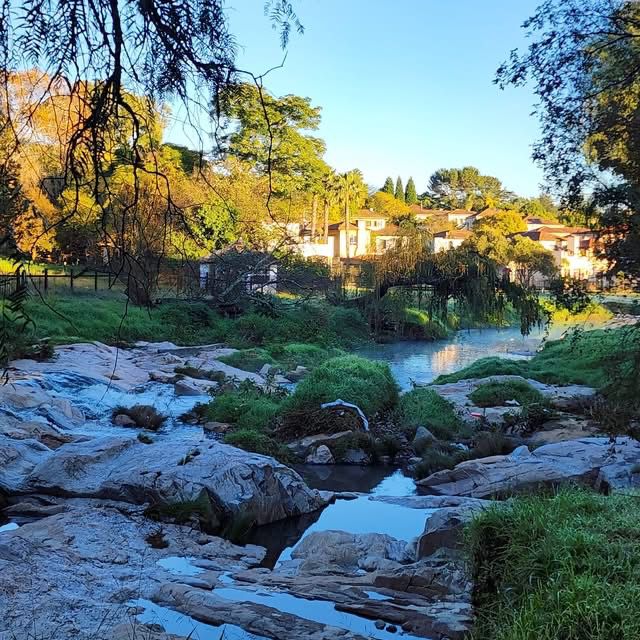Wellness events in sandton